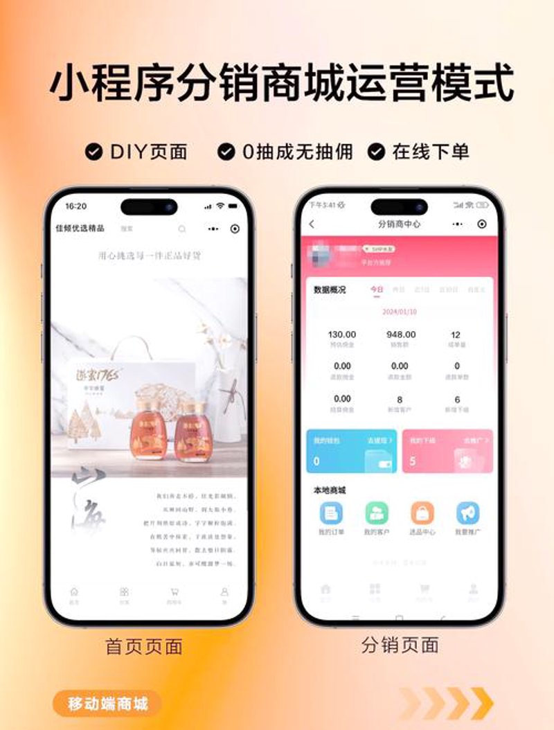 构建高效分销网络，轻松打造电商王国——分销商城系统选购指南